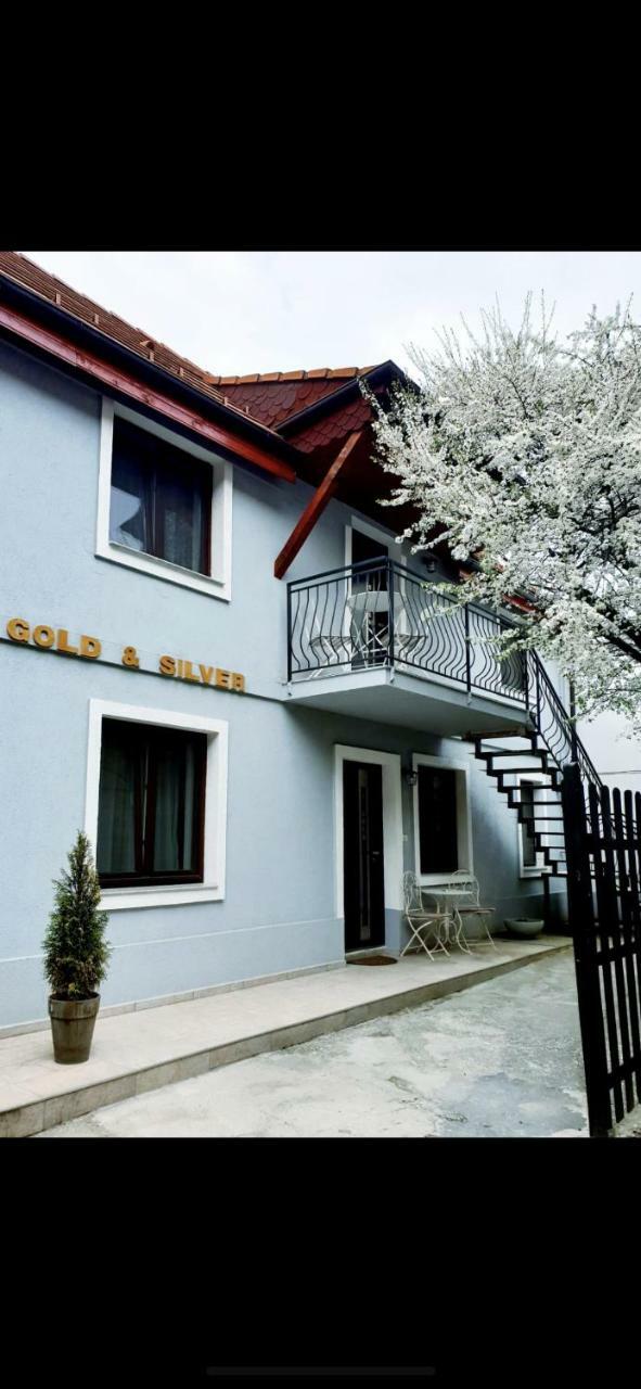 For You Apartments Gold & Silver Sibiu Exterior foto